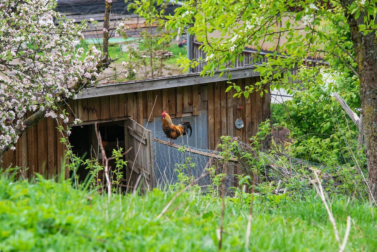 Appartement Gut Tausendbachl Regen